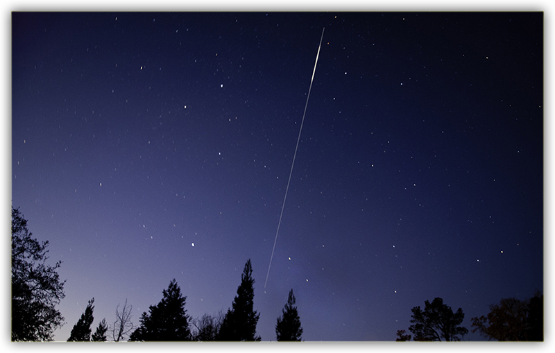 Int'l Space Station From Between The Redwoods