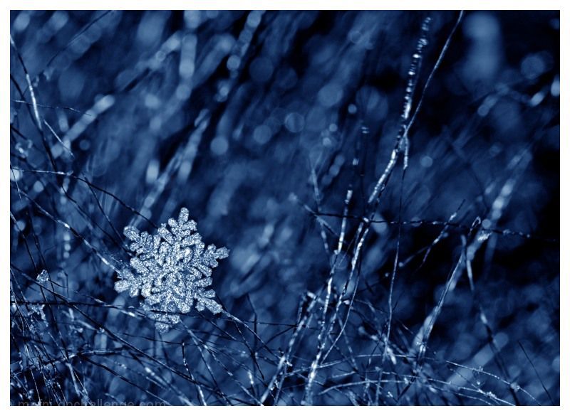 ...of the blizzard of 2014