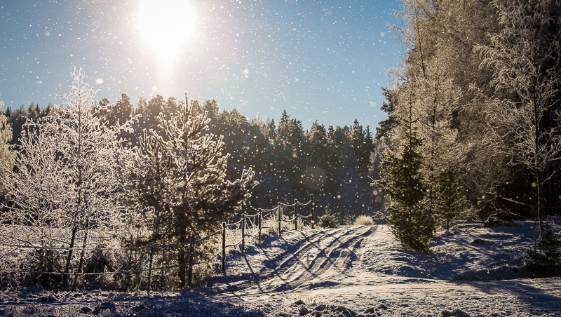 Snowfall and the sun