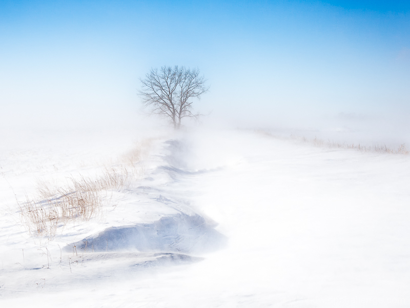 Ground Blizzard