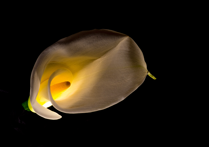 _DO80749_DPC