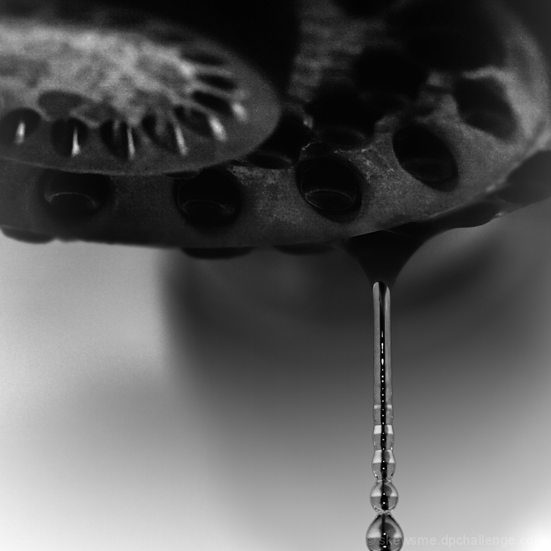 leaky