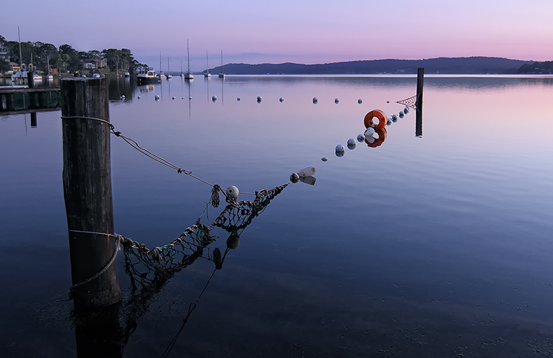 Blue Calm