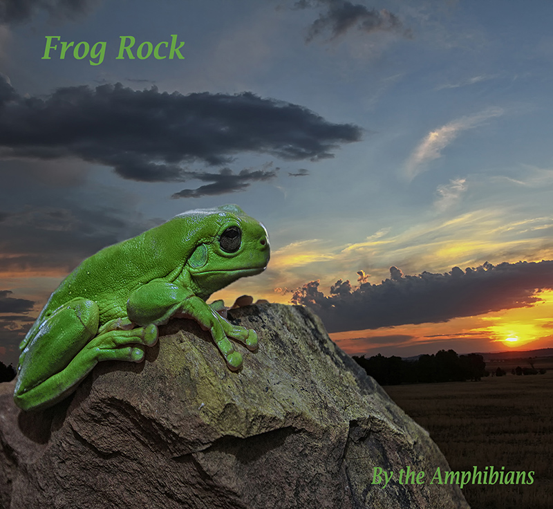 Frog Rock