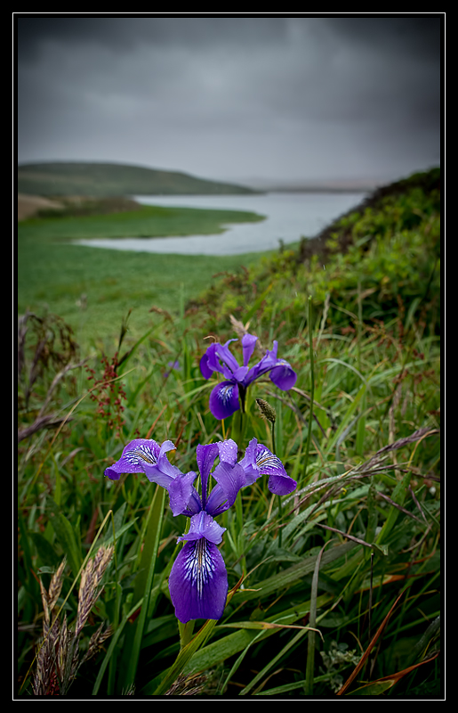 Abbotts Lagoon