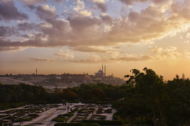 Greetings from Cairo