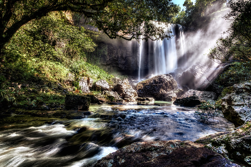 Behold the miracle of the earth, with all the wonder of a child