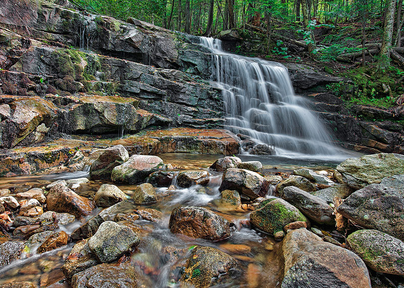 Sounds of Nature