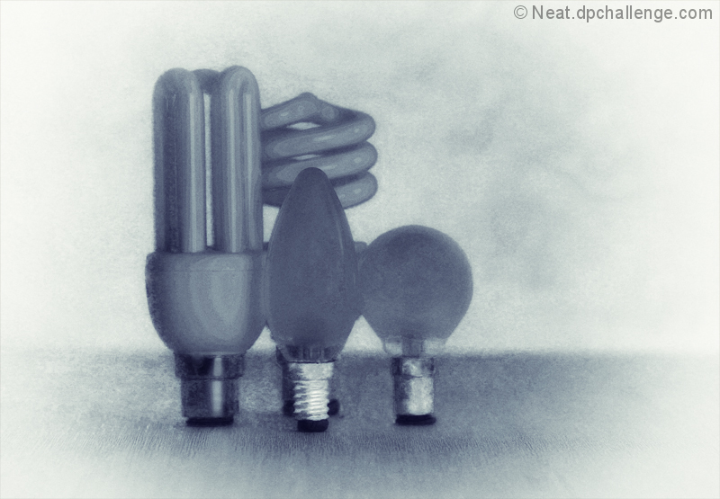 still bulbs