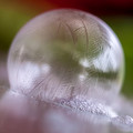 Frozen Soap Bubble