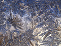 ice is nice