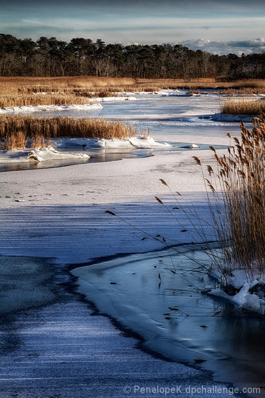 Winter Surfaces