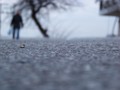 Alone