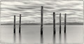 Silent Sentinels