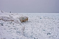 Lake Superior
