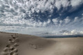 Dunes 