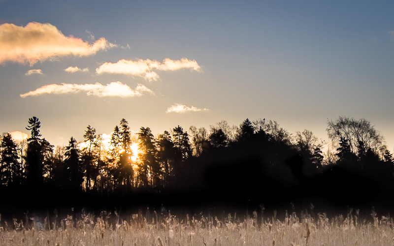 Sunrise by the fields