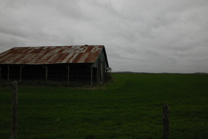 Green Fields