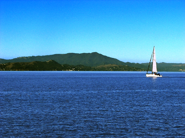 Mount Tamalpais