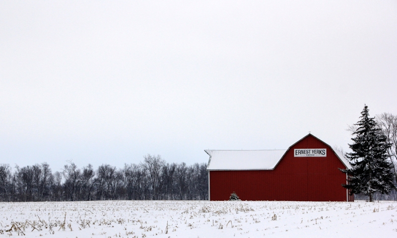 Snow Farm