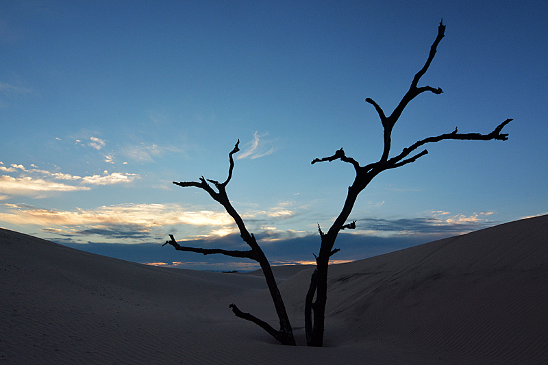 Isosog Dunes