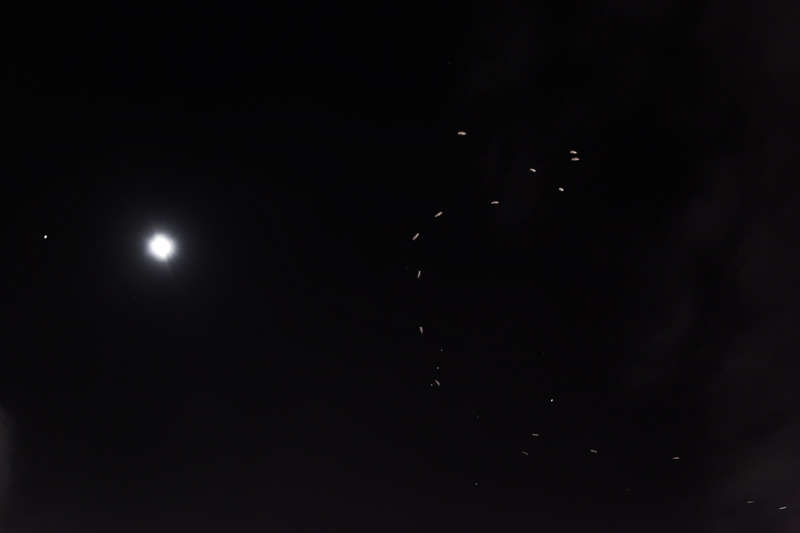Jupiter, The Moon, and A Flock of Seagulls