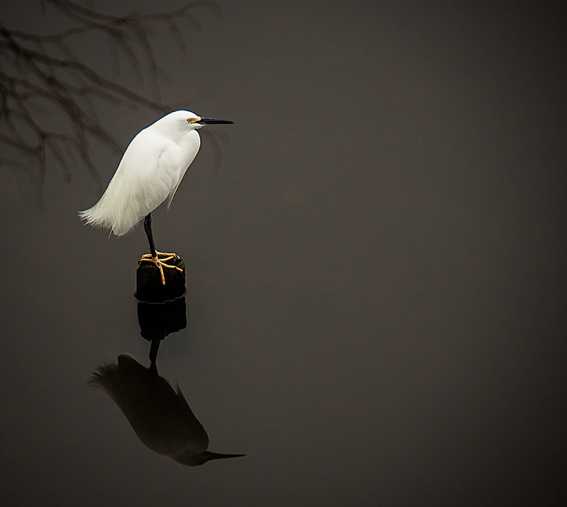 Standing Guard