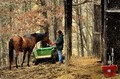 Quality Time at the Barn with Friends