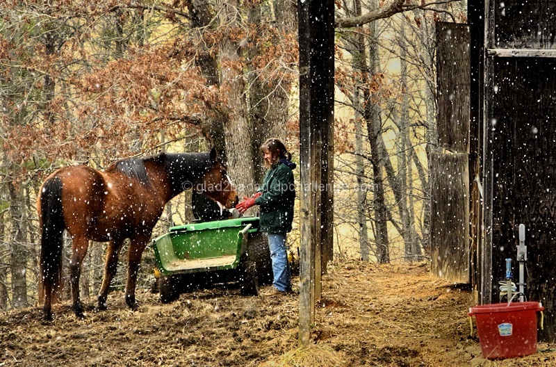 Quality Time at the Barn with Friends