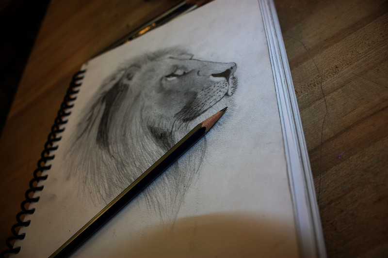 TheLion&ThePencil