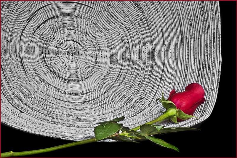 Red Rose and Paper Bowl