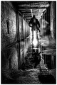 Into-the-Light