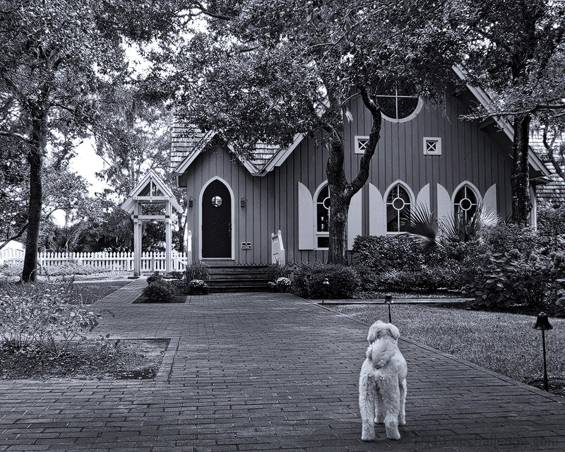 The Village Chapel