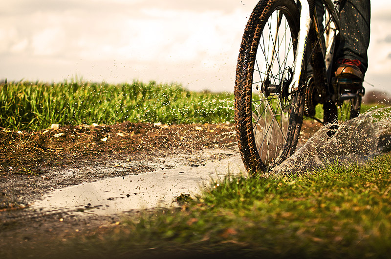 The muddy road