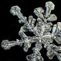 Anatomy of a 2mm Snowflake