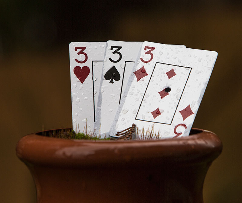 Three Cards