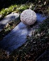 Anti-Gravity (Rule of Thirds, Shallow DOF, Tilted Angle)