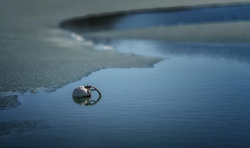 Leading Line, Rule of Thirds, Shallow DOF