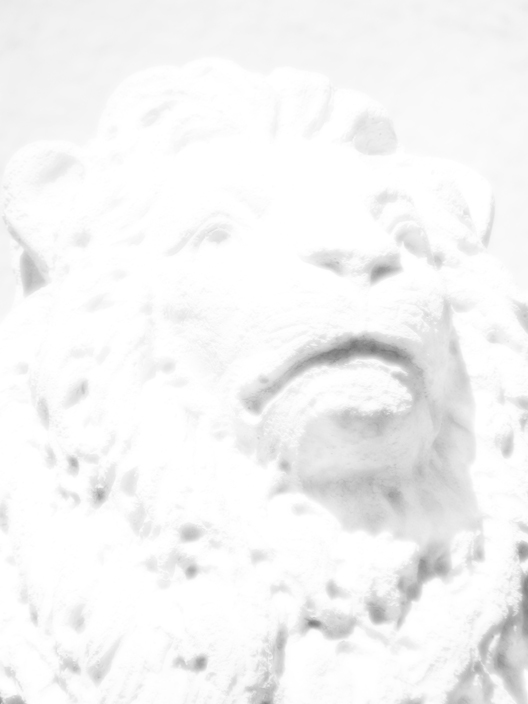 The Lion of Winter (High Key Portrait in Soft-Focus)