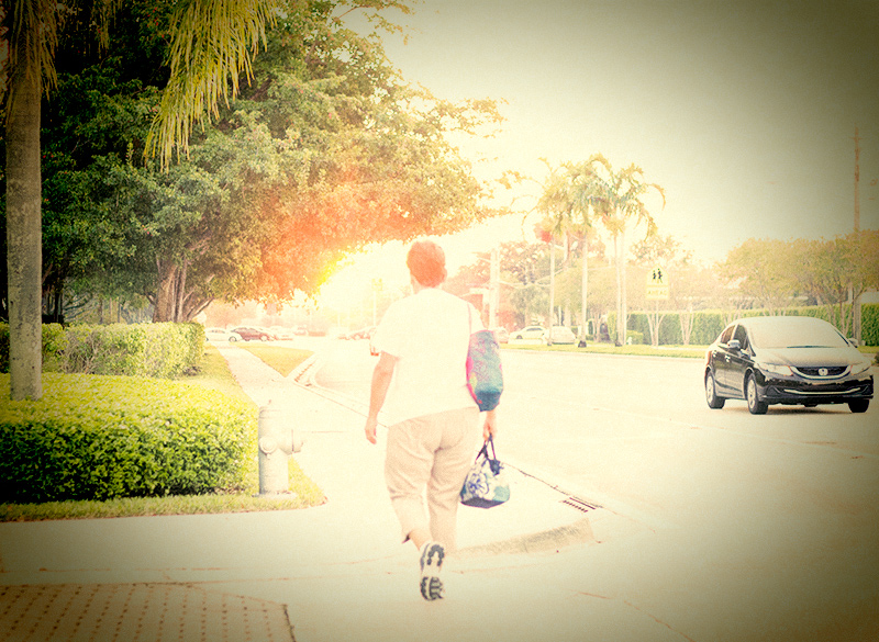 into the light (backlighting, centered composition, high key)