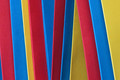Primary Organization