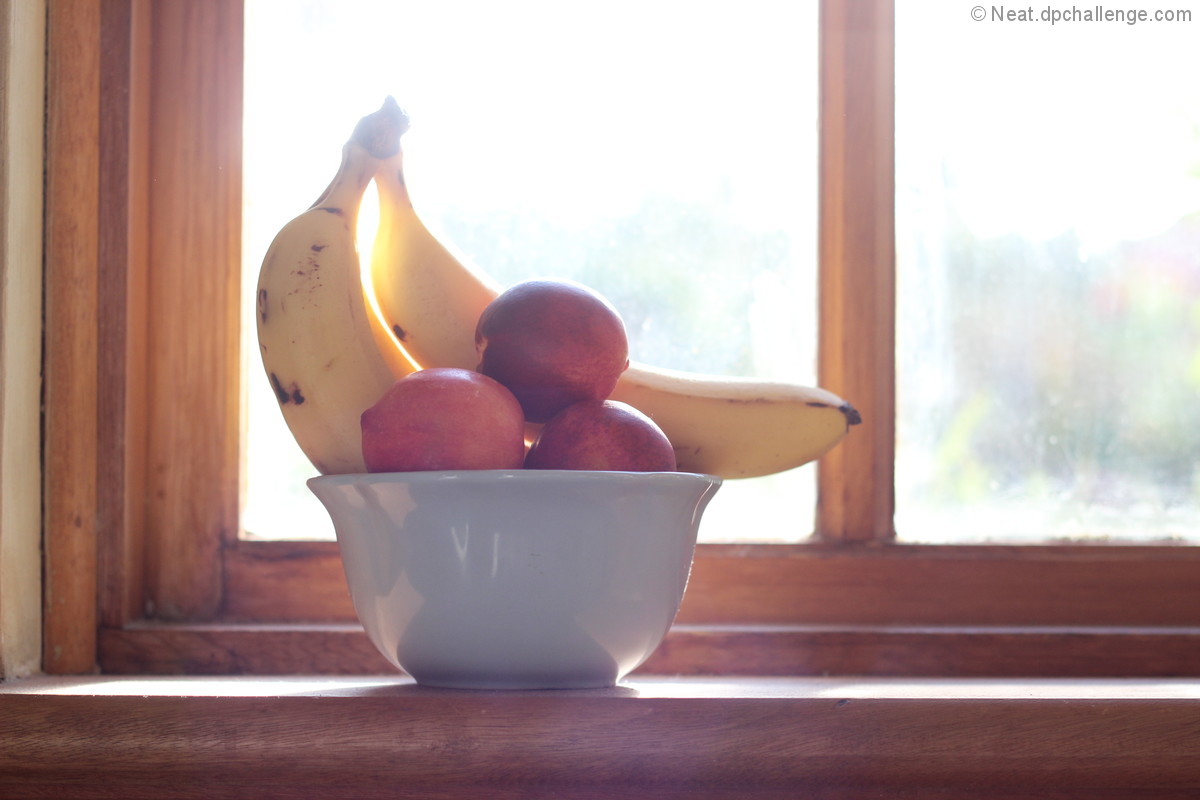 Morning light