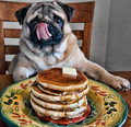 Did someone say 'pancakes?'