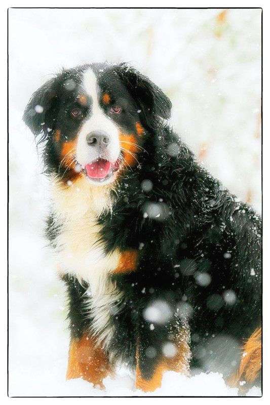 Snow, once again