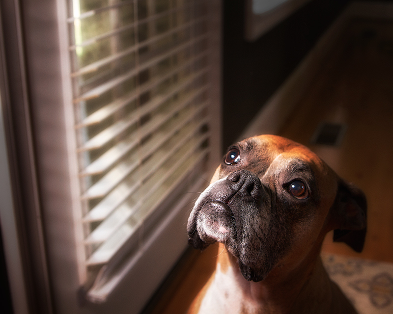 Please, Mom?