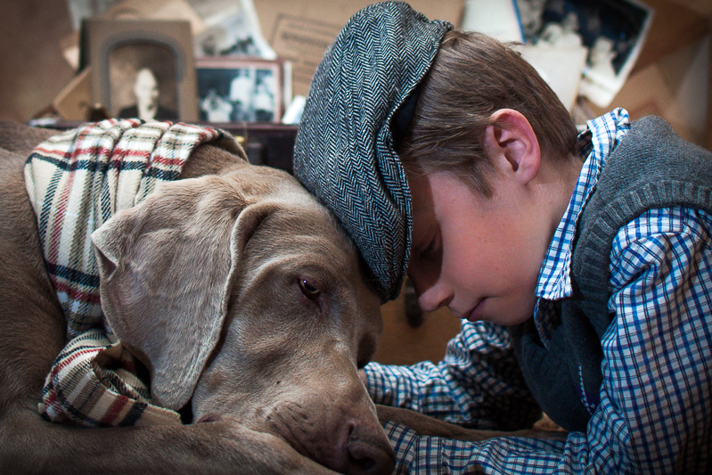 Dog: A Boy's Best Friend