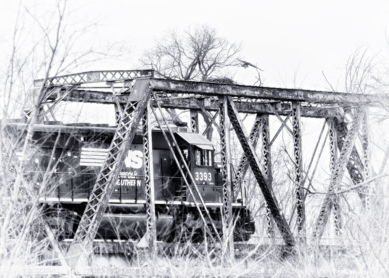 The Train, the Nest, and the Osprey