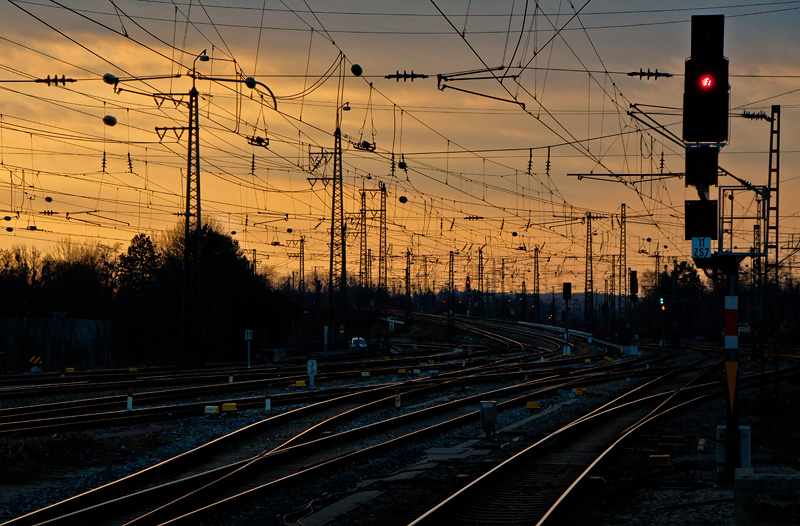 Railway Jungle