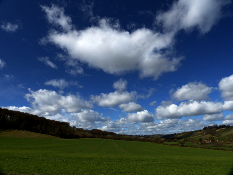 Buckinghamshire
