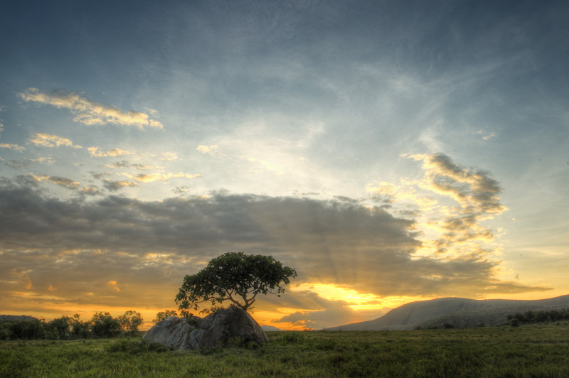 Sunbeams